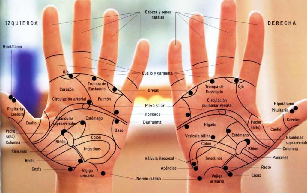 puntos reflexología manos