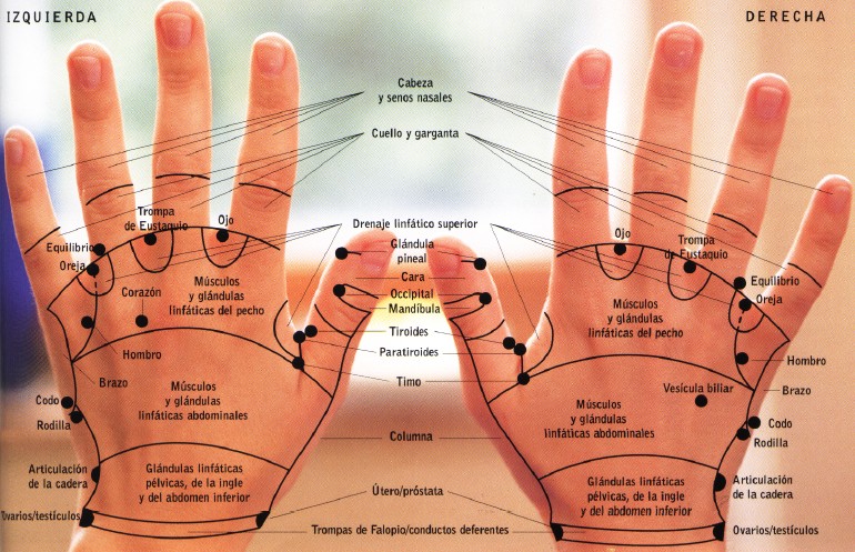 Reflexología manos - Dorso
